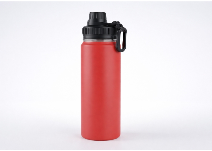 700ml Insulated Stainless Steel Bottle with Handle Lid